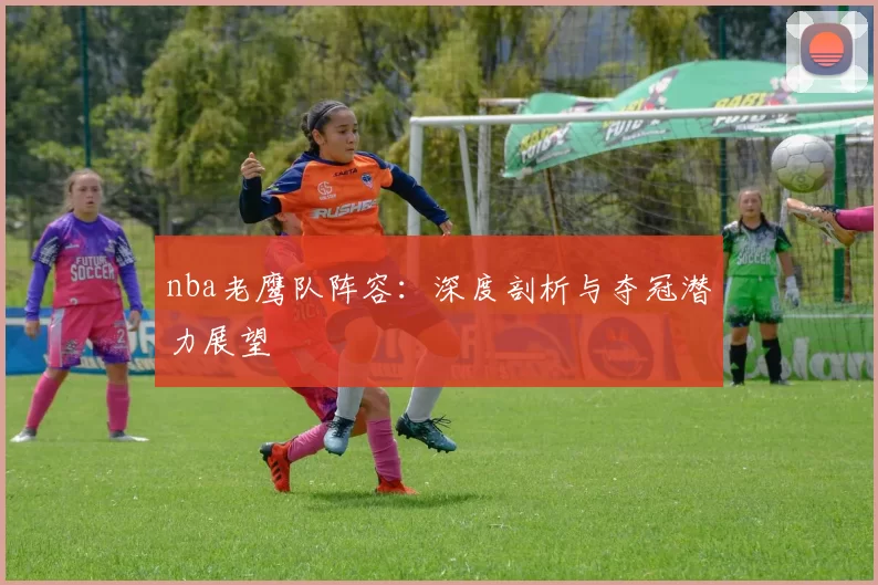 nba老鹰队阵容：深度剖析与夺冠潜力展望