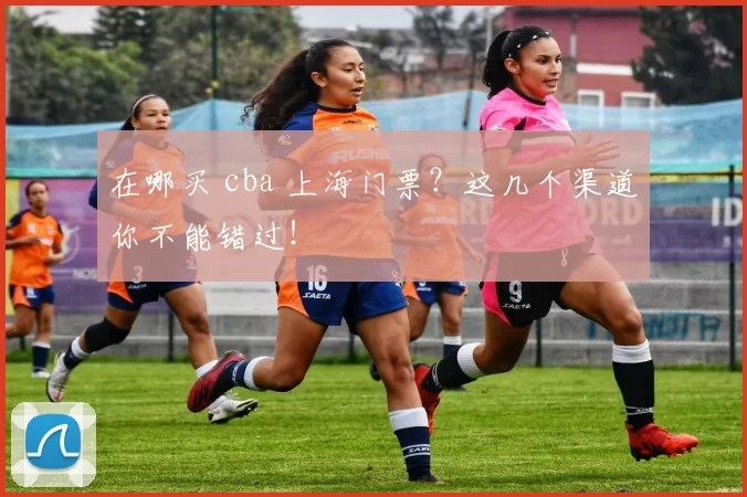 在哪买 cba 上海门票？这几个渠道你不能错过！