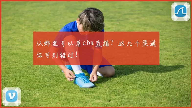 从哪里可以看cba直播？这几个渠道你可别错过！