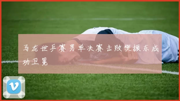 马龙世乒赛男单决赛击败樊振东成功卫冕