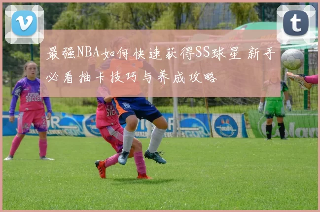 最强NBA如何快速获得SS球星 新手必看抽卡技巧与养成攻略