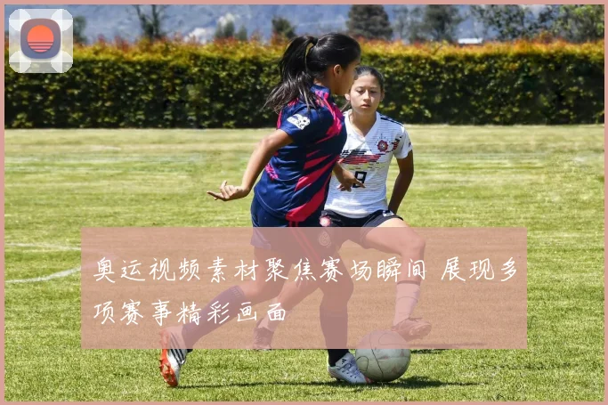 奥运视频素材聚焦赛场瞬间 展现多项赛事精彩画面